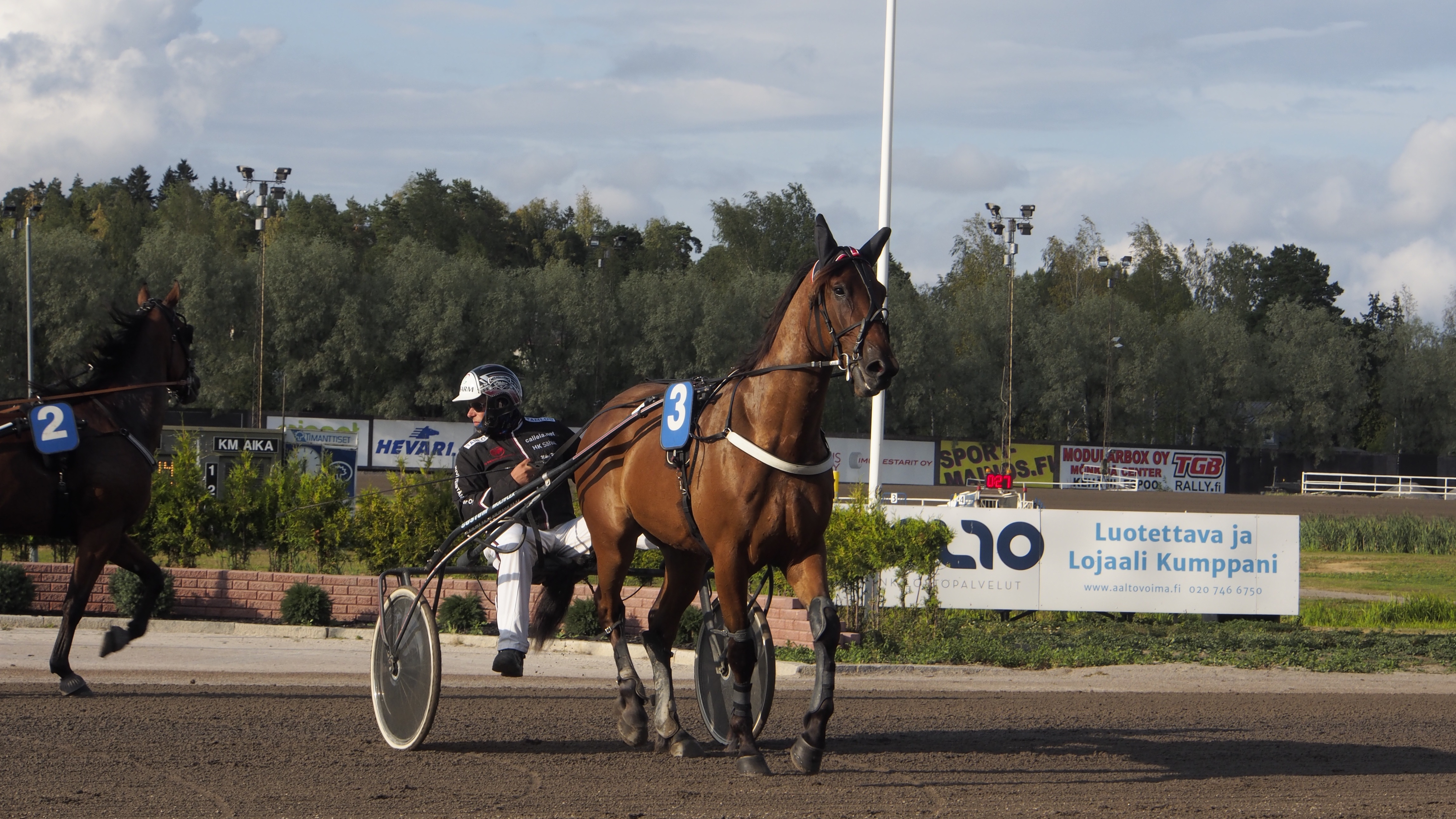 ravihevonen ravit
